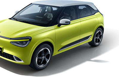 דונפנג צהוב ליים