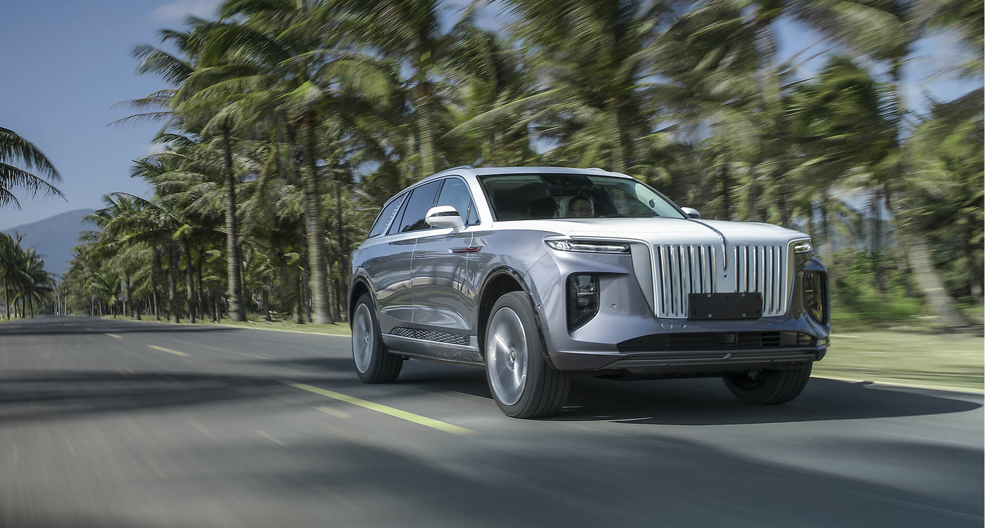 הונגצ'י E-HS9 PREMIUM 7S (2020)