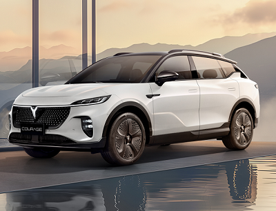 Voyah - וויה - Courage צבע לבן