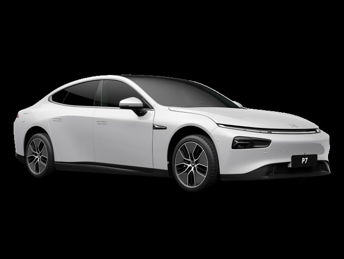 אקספנג P7 Wing (2019)